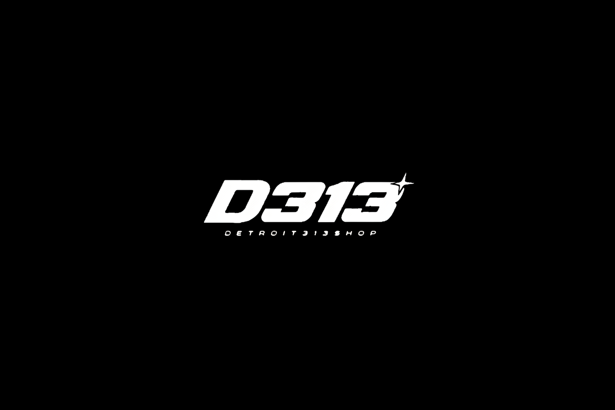 D313 Logo - Zoomed Out